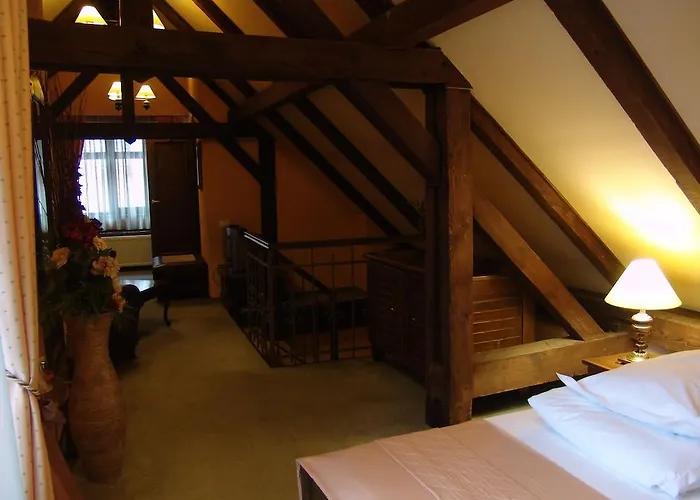 ベラ ムジカ 3* ブラショフ